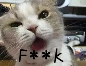 what?!买了保险也不一定会赔!这些案例你知道吗?