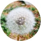 人寿保险在婚姻财富保全中的4个应用和实务案例|TOP好文