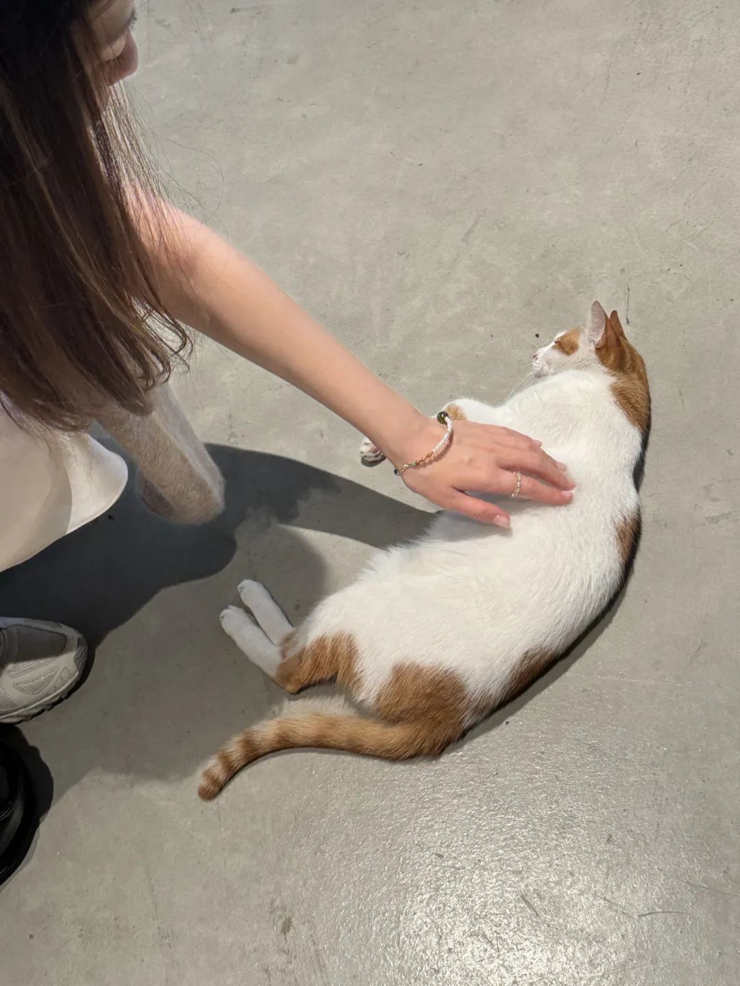 “穷人才需要保险。”