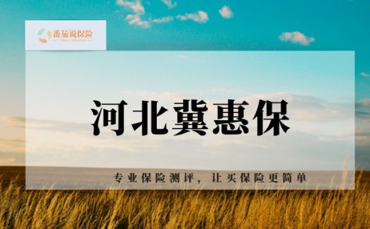 河北惠民保:冀惠保2022,相比河北惠民健康保,哪个好?