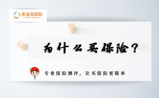 番茄心语:你到底为什么买保险?