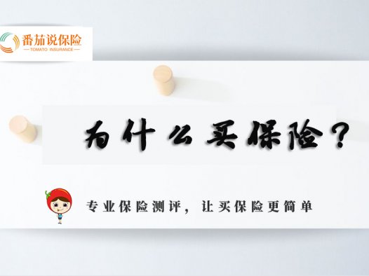 番茄心语:你到底为什么买保险？