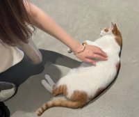 5岁宝宝买保险怎么买好