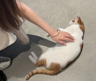 5岁宝宝买保险怎么买好