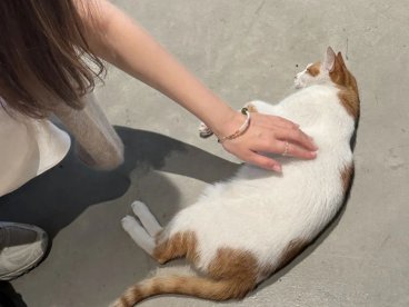 5岁宝宝买保险怎么买好