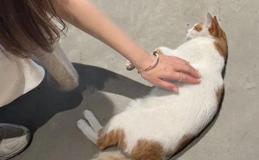 5岁宝宝买保险怎么买好